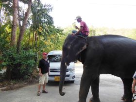 Jürgen mit Elefant DSCN0522.JPG