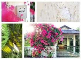 Collage.jpg